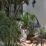 Kleines Einzelzimmer Mit Meerblick Lejlighed *