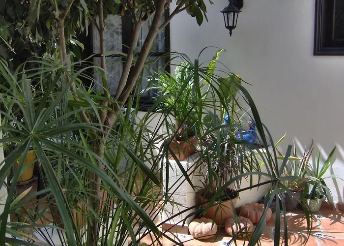 Kleines Einzelzimmer Mit Meerblick Daire *