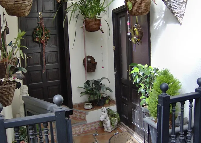 Daire Kleines Einzelzimmer Mit Meerblick Icod De Los Vinos