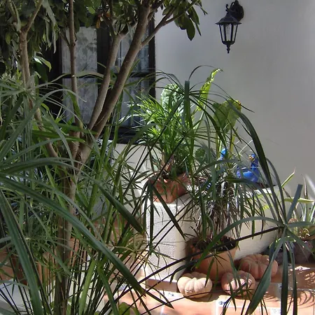 Kleines Einzelzimmer Mit Meerblick Appartement *