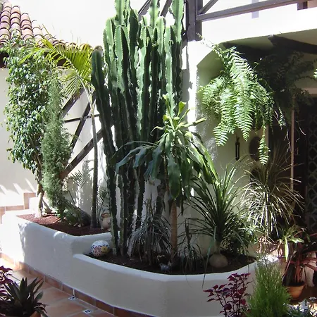 Appartement Kleines Einzelzimmer Mit Meerblick