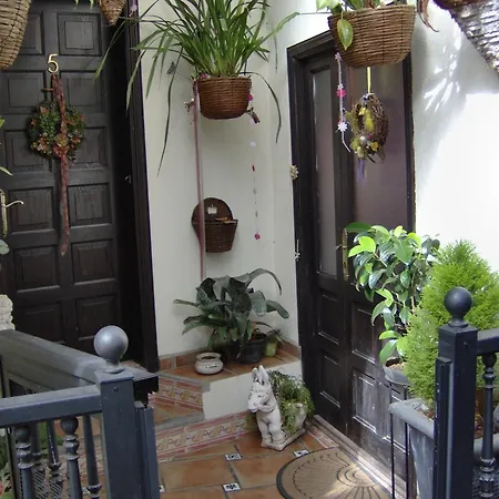 아파트 Kleines Einzelzimmer Mit Meerblick 이코드레로스비노스