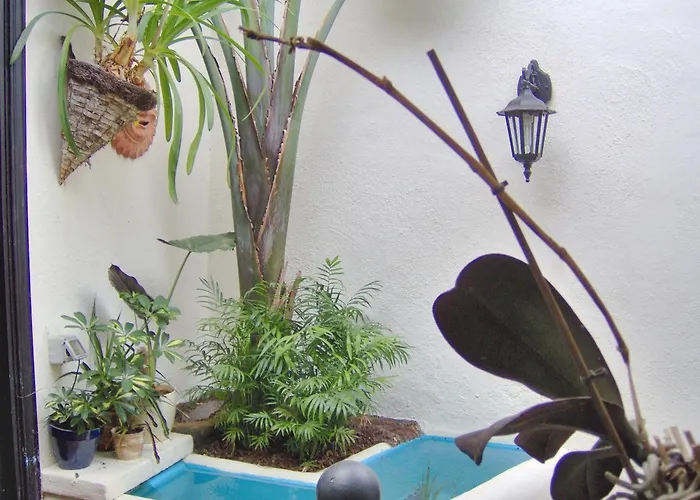 Kleines Einzelzimmer Mit Meerblick Icod De Los Vinos