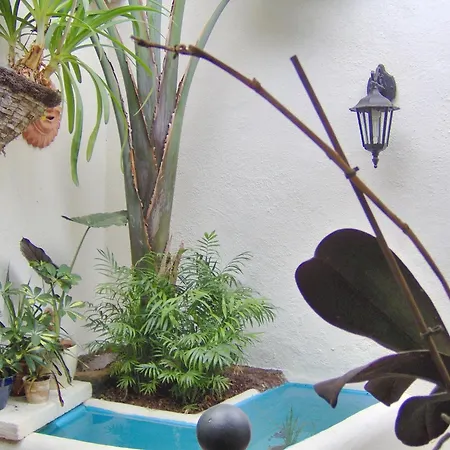 Kleines Einzelzimmer Mit Meerblick イコー・デ・ロス・ビノス